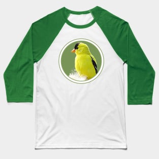 Goldfinch Bright No.1 Baseball T-Shirt